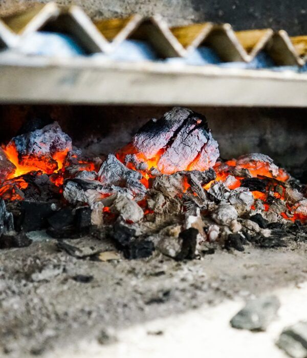 Horno De Carbón Y Zona De Parrilla Instalada Por Frinus