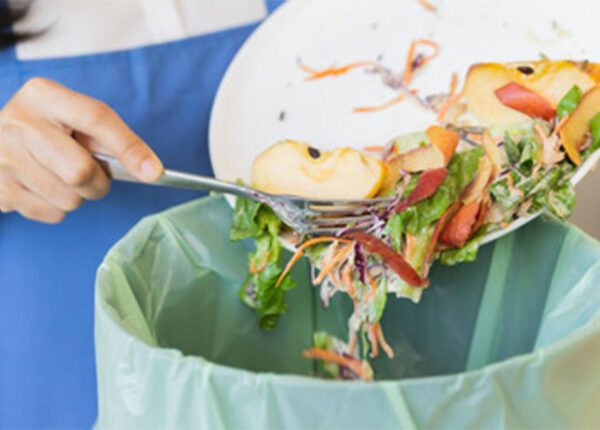 Desperdicio De Alimentos