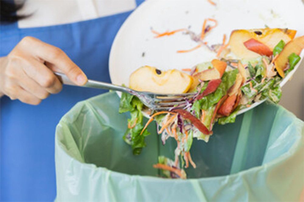 Desperdicio De Alimentos